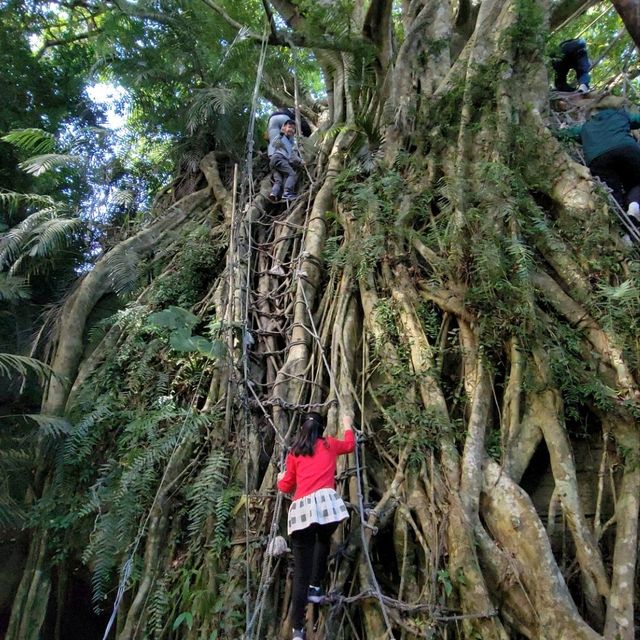 鸞山森林文化博物館～布農部落