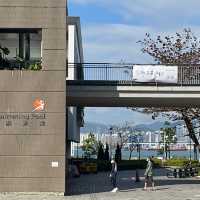 周末的海邊公園 香港好去處