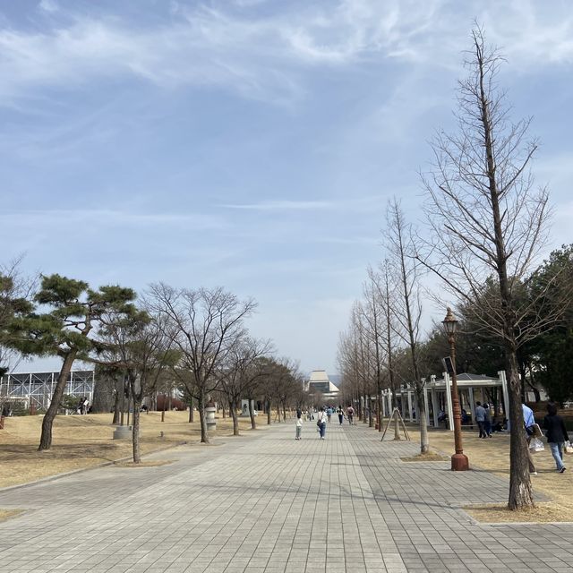 대전 피크닉 명소, 대전엑스포시민광장(남문광장) 주차장 등