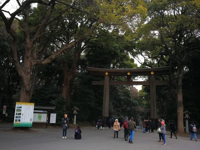 สวนโยโยงิ
