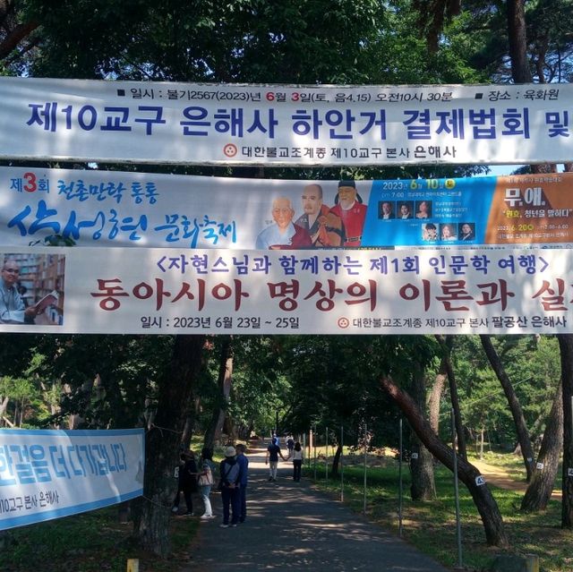 은빛 바다에 내리는 부처님에 아미타불 은해사다