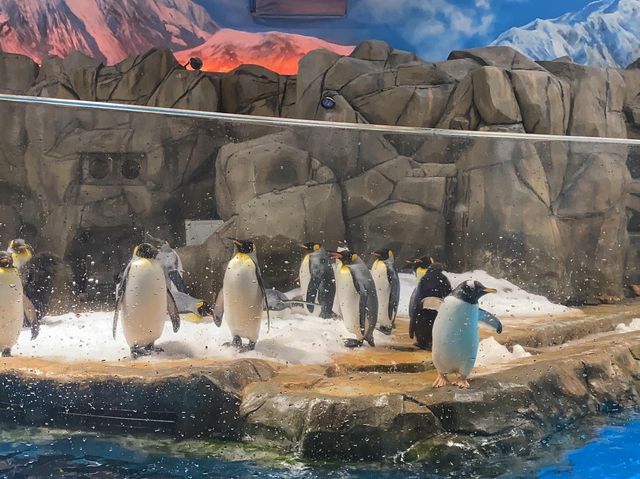 香港海洋公園乃親子好去處