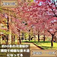 萬葉公園