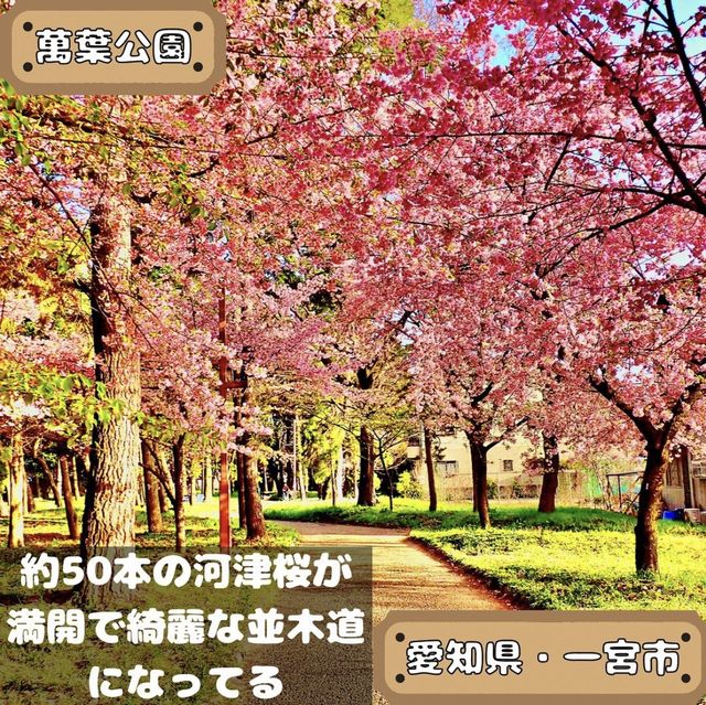 萬葉公園