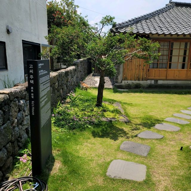 최근 책방으로 바뀐 고씨 주택 제주여행 코스 제주 책방