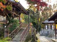 เที่ยวใบไม้เปลี่ยนสี เกียวโต วัดเอกันโดเซ็นริน ⛩️🍁