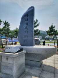 오토캠핑장과 물놀이장이 있는 경주 해수욕장🏖