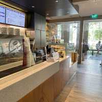 Coffee bean studying days