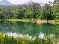 Goshiki-numa pond 🇯🇵💦🦋