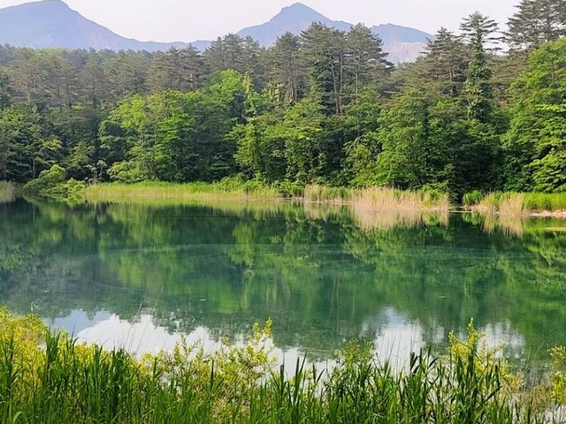 Goshiki-numa pond 🇯🇵💦🦋