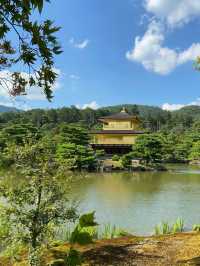 【京都観光】世界遺産🇯🇵金閣寺