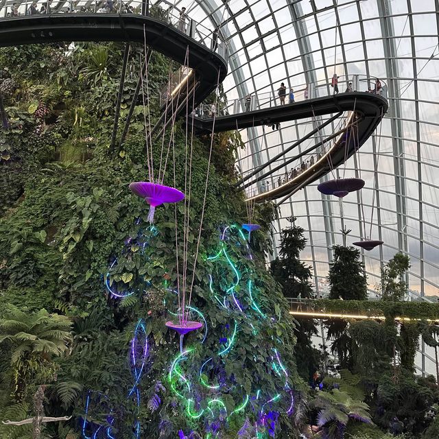 濱海灣雲霧林X阿凡達