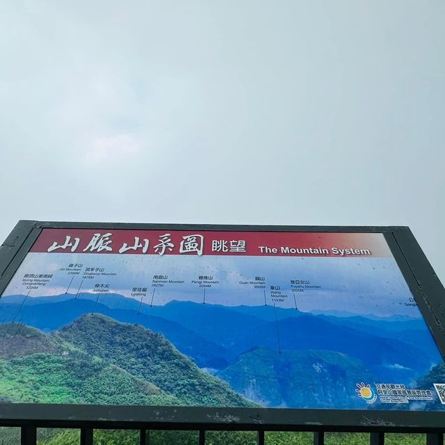 阿里山 隙頂象山 茶林步道