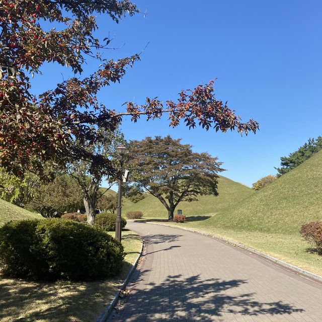 신라를 찾아서! 가을의 대릉원 산책🍂