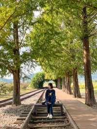 남원 숨은 여행지🌾폐역을 개조한 서도역🚉