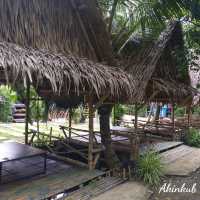 คาเฟ่บรรยากาศสวนมะพร้าว