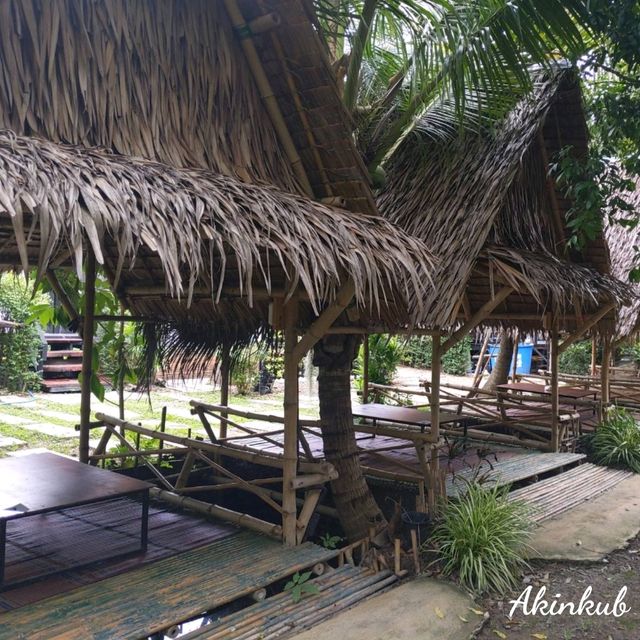 คาเฟ่บรรยากาศสวนมะพร้าว