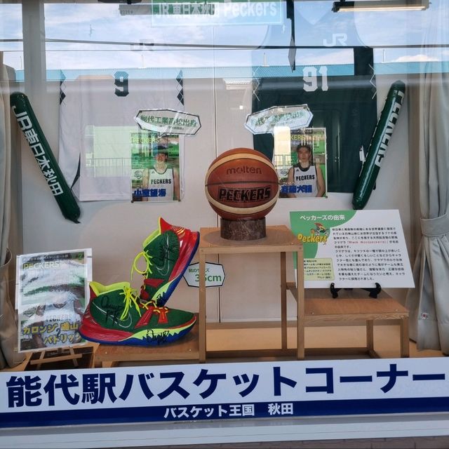농구...좋아하세요?🏀 1탄
