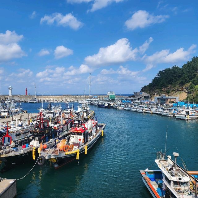 ⛵ 하늘아래 첫마을 도두에서 만나는, 도두항 풍경