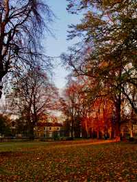 Discover Autumn’s Fall in Cambridge 
