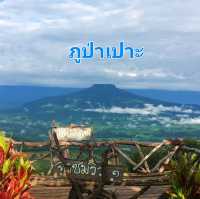 ชมวิวธรรมชาติที่ภูป่าเปาะ | เลย