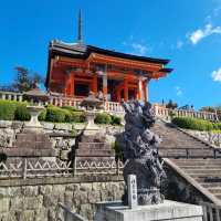 The Beautiful Kiyomizu Dera Temple 