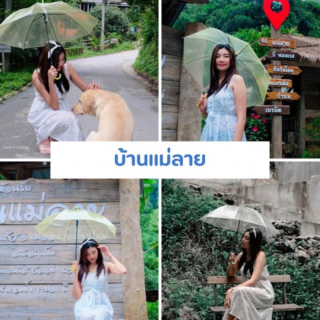 เที่ยวเชียงใหม่ 8 วัน 7 คืน 