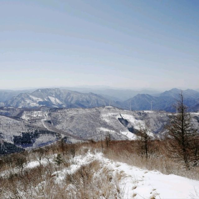 함백산 눈꽃여행 
