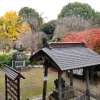 ใบไม้เปลี่ยนสีที่โตเกียว...วัด Kiyomizu Kannon