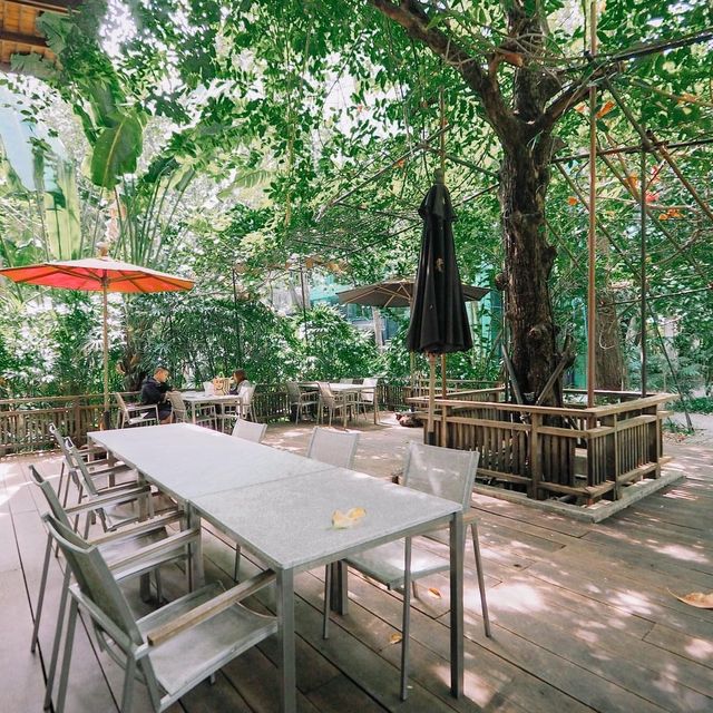 คาเฟ่ลับใน ม.มหิดล ศาลายา