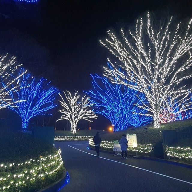 名花之里交通攻略