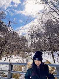 東京近郊🍀冬日輕井澤絕美打卡靚景—雲場池