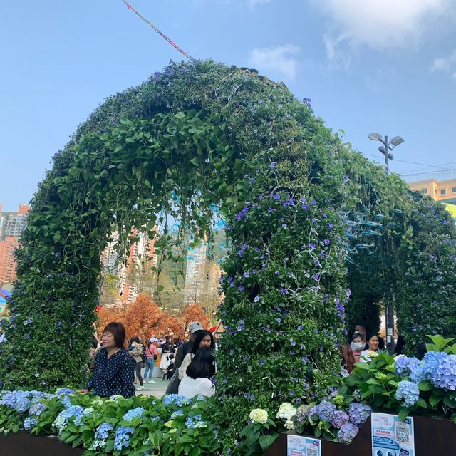 打卡位處處的花展🌺🌺🌺 打卡位處處的花展🌺🌺🌺