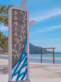 발리에 온 듯한 풍경을 주는 "송호해변해수욕장"