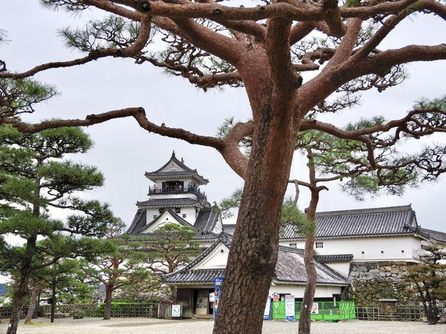 【高知市】日本百名城の春🌸