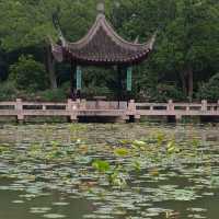 蘇州虎丘