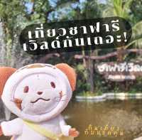 3โซนห้ามพลาด เมื่อมาเที่ยวซาฟารีเวิลด์!