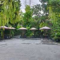 จิบกาแฟในสวนป่ากลางเมืองทองธานี
