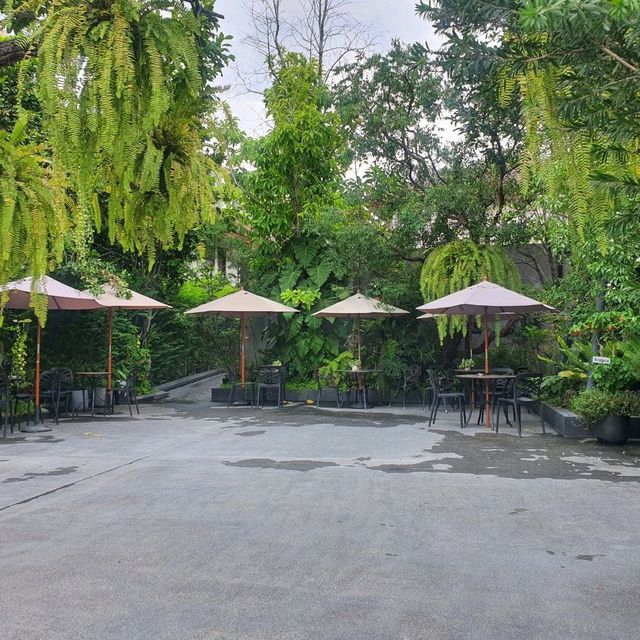 จิบกาแฟในสวนป่ากลางเมืองทองธานี