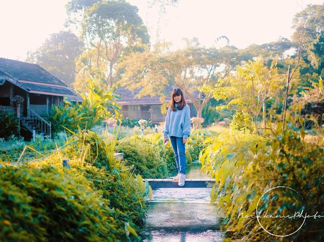 บ้านหลองข้าวสะเมิง | เชียงใหม่
