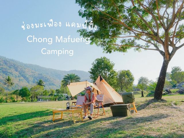 Chong Mafueng Camping  -ช่องมะเฟือง แคมป์ปิ้ง