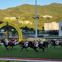 沙田馬場初體驗！新手增長見識，值得一試