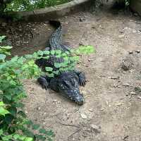 サイゴン動植物園