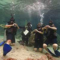 Discover Scuba Dive at Phi Phi Island 