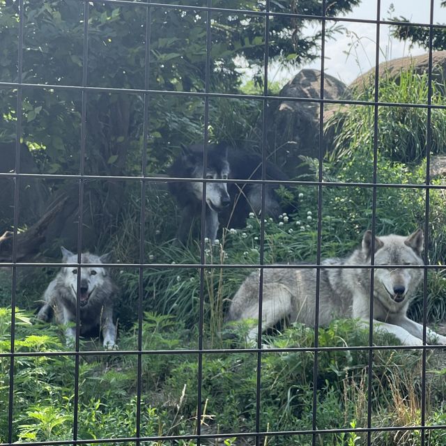 あさひやま動物園🐯