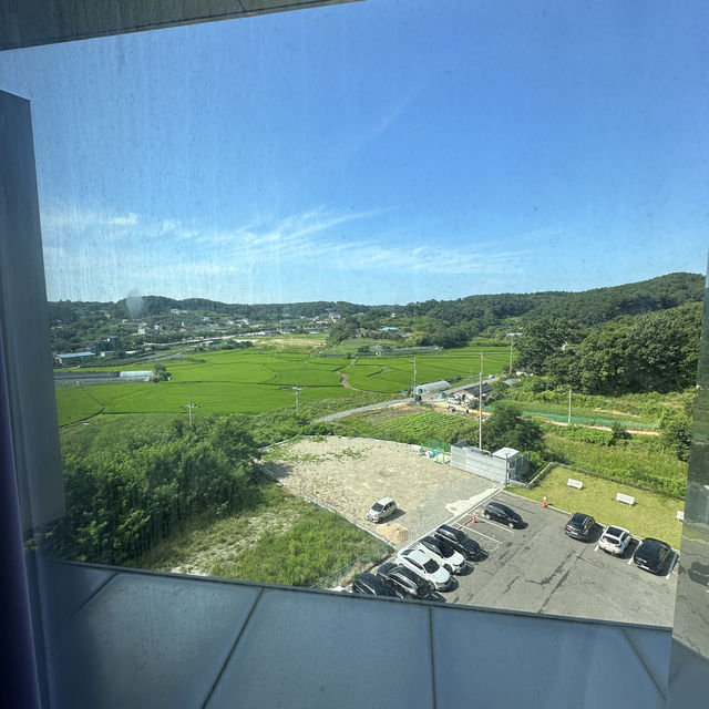 韓國-不能相信一家主要作為transit hotel的room service食物能夠如此高質