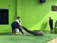 Melaka Crocodile Farm ✨