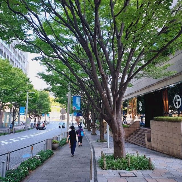 Ropponggi Hills, the Tokyo style of modernity