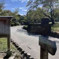【ペットとお出かけ】嵐山公園をお散歩！