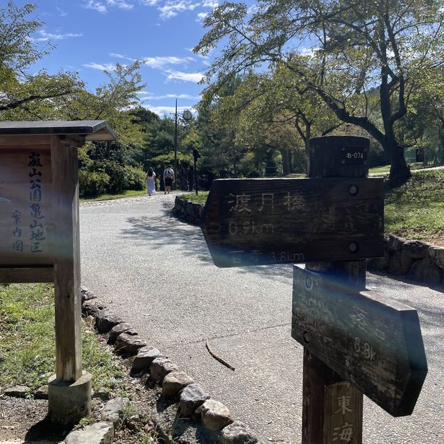 【ペットとお出かけ】嵐山公園をお散歩！
